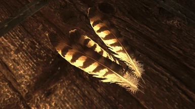 feather5