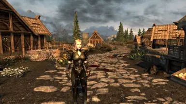 Example of an armor
