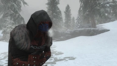 Argonians don't do well in the cold