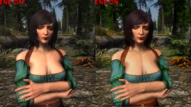 CleanSimple ENB 11 Compare