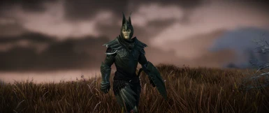 Elven Gilded armor variant and Elven Winged Helmet.