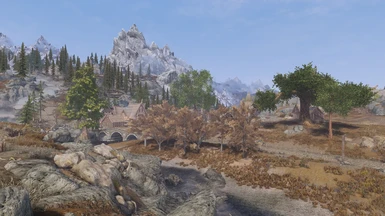 With Tamriel Reloaded