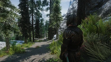 Depth of field can be turned on and off at any time in the ENB settings
