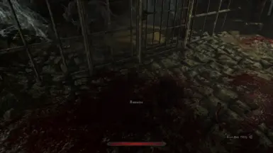 Wolf in that cage was starving, ripped that guy right thru the bars!