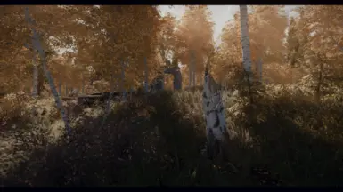 ABL - ENB + Nolvus Reshade