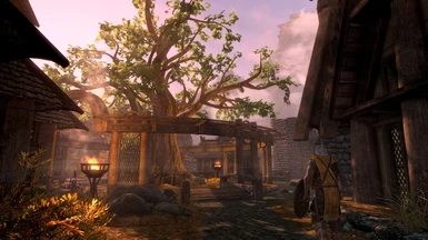 With 'Skyrim 3D Trees'