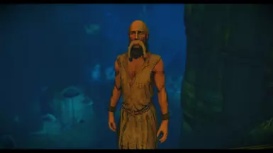 Falmer slave