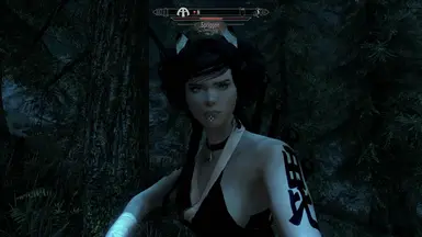 Tattoo Samurai followers at Skyrim Special Edition Nexus - Mods