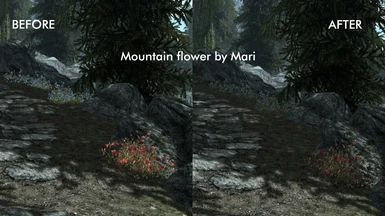 Comparison using Mari's mod