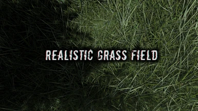 Realistic Grass Field