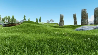 Realistic grass field near Rorikstead