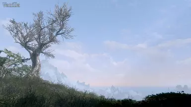 7a