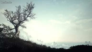 7b