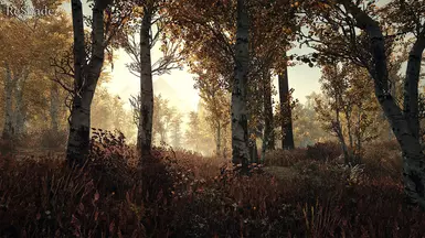 13b