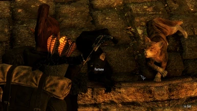 Their names are Fortune and Lucky, and they live in the Thieves Guild headquarters. :)