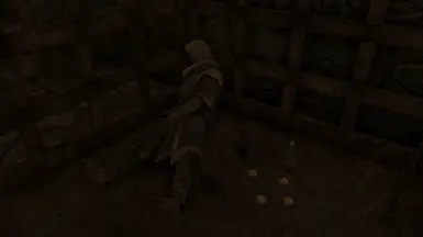 Helgen's Mage Prisoner