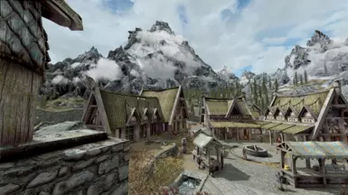 skyrim se performance mods