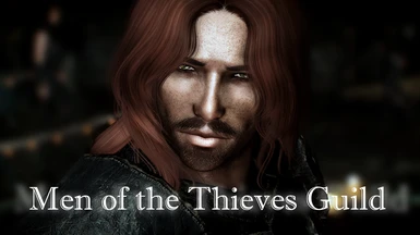 Pride of Skyrim 2 - Men of the Thieves Guild NPC Overhaul