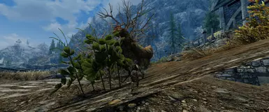 I'm using this mod correctly, right?
