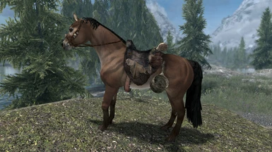 Hunter's Saddle