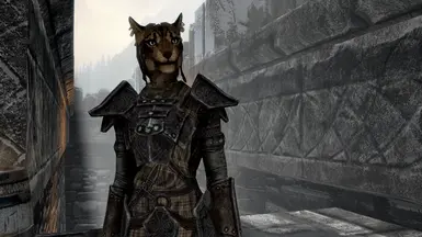 Asya'la the Nordic Khajiit