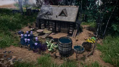 Amazing Garden 