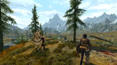 Concise Skyrim Modding Guide At Skyrim Special Edition Nexus - Mods And ...