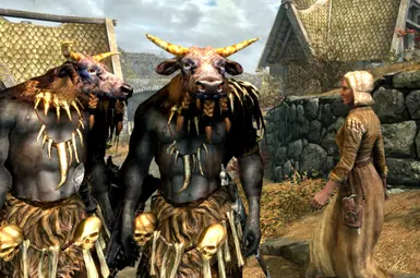 Minotaur Companion