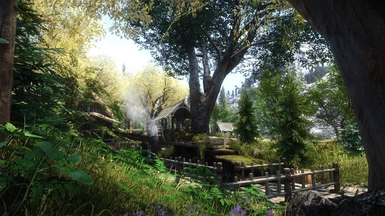 Reshade ON (V1.1) + Ray Tracing ON + ENB ON