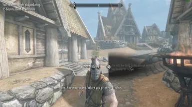 skyrim thieves guild special jobs