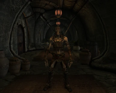 New with version 1.4 - Draugr Lord Aesliip follower can be found guarding your new home.