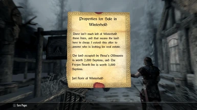 how to invest in stores in skyrim