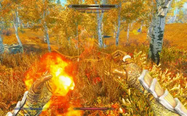 Flame Stealth Assassin Under Modded Slow Time Shout