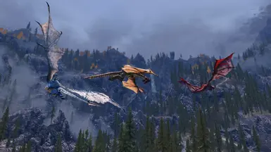Dragon fight