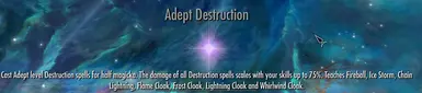 FMS AdeptDestruction