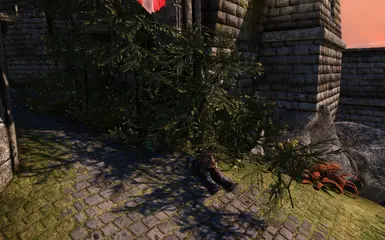 The jungle took them
