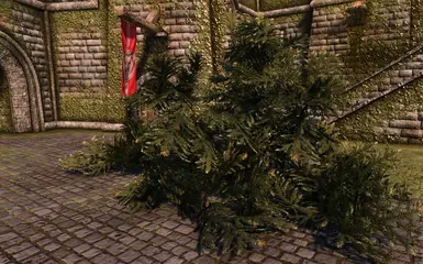 Hiding in plain sight