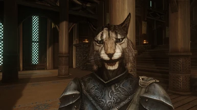 2.5 updated HD Khajiit texutres and facetint
