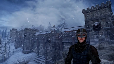 Guard of Windhelm