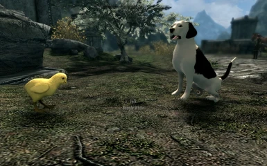 White Beagle (Snoopy) with Bird Friend