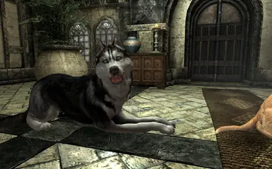 PT-BR) Dovah Dogs - Dovahkiin's Best Friend at Skyrim Special