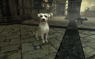 PT-BR) Dovah Dogs - Dovahkiin's Best Friend at Skyrim Special