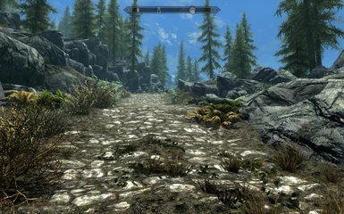 Skyrim without ENB