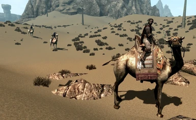 Camels Patrol