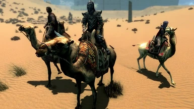 Camels Patrol