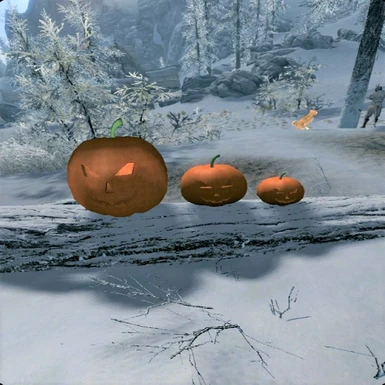 3 Different Pumpkin Sizes