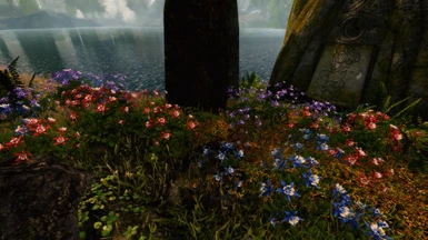 Cathedral 3D Mountain Flowers with More Flowers by the Standing Stones - XB1