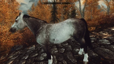 skyrim special edition immersive horses