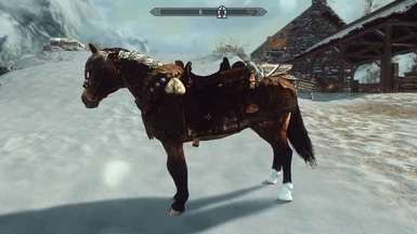 Windhelm Horse with Barding