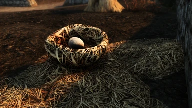 Chicken Nest